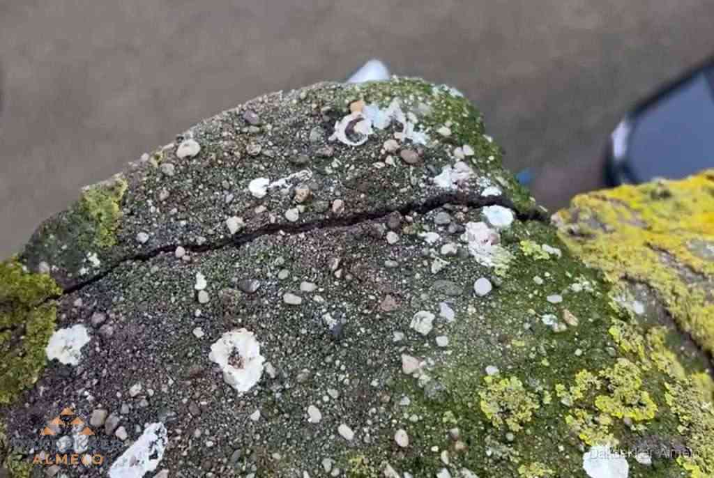 Beschadigde en verweerde nokvorst met scheuren en mos in Almelo